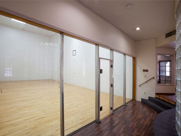 On-Site Community Racquetball Court at Cinnamon Tree Apartments in Albuquerque, MN